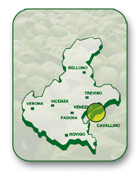 cartina_cavallinotreporti(1)